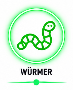 Icon Würmer
