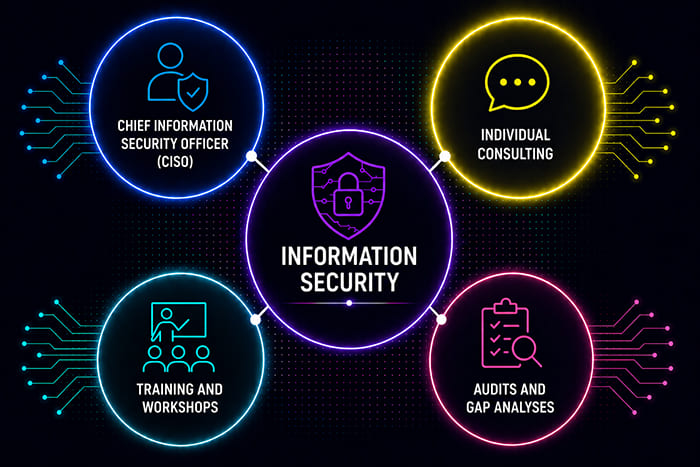 Individual information security consulting with CISO services, training and audits